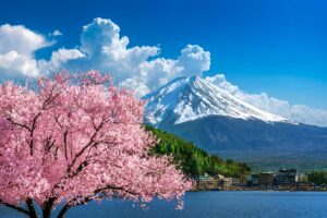 Japan 3