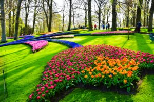 Keukenhof 3