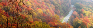 Blog Headers (3)