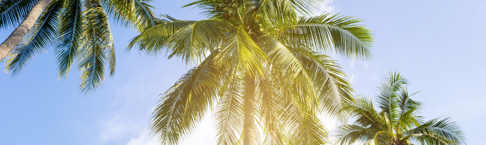 Blog Headers (7)
