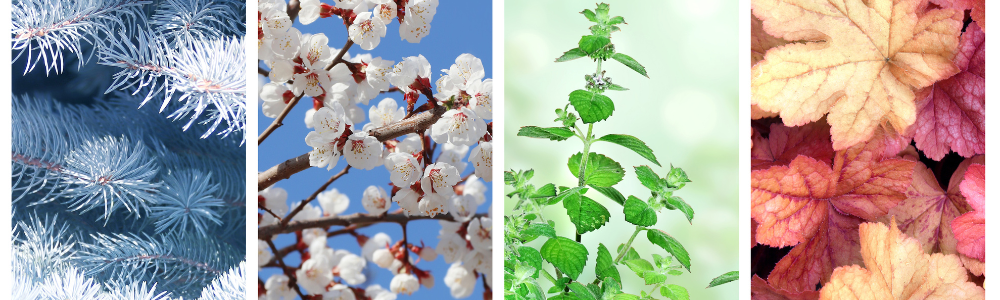 Blog Headers (9)
