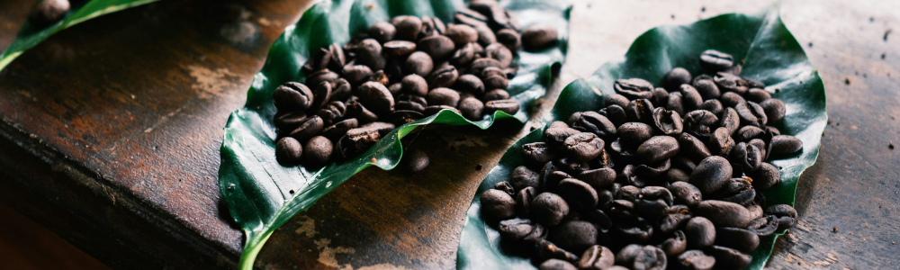 Blog Headers (23)