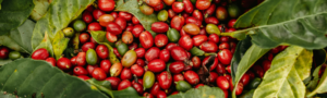 Blog Headers (24)