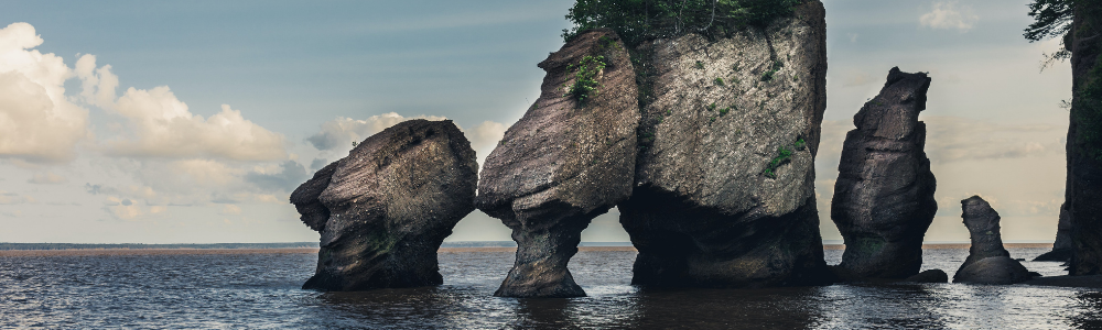 Bay Of Fundy