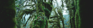 Blog Headers (23)