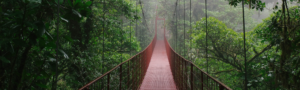Blog Headers (25)