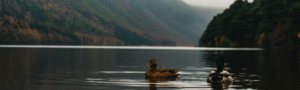 Blog Headers (29)