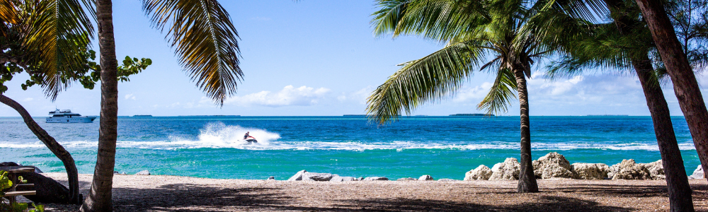 Caribbean - beach - island - palm tree - sea - sand - water