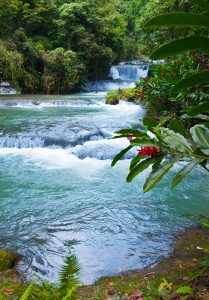 Jamaica Dunns Waterfall